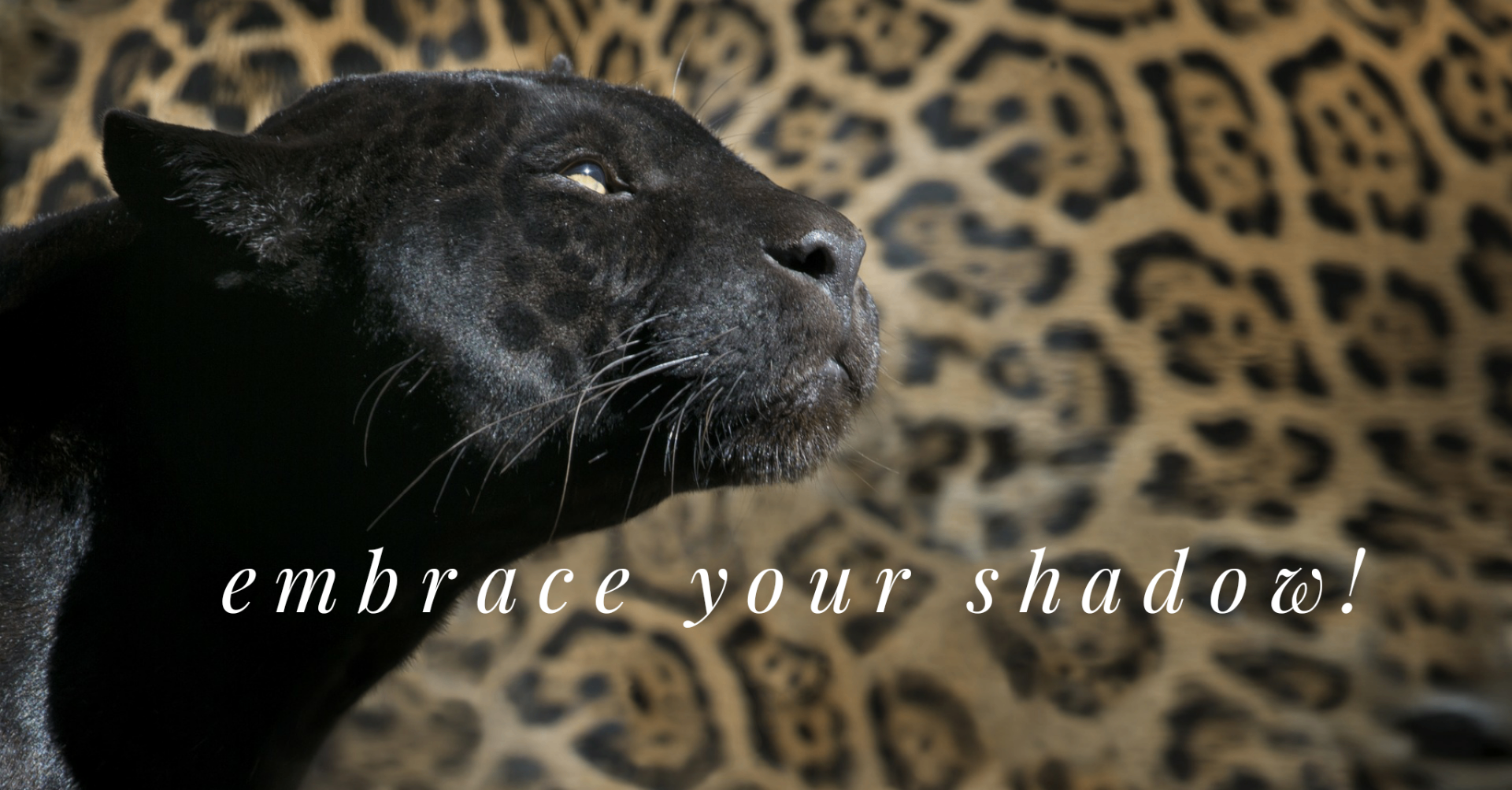 Embrace Your Shadow